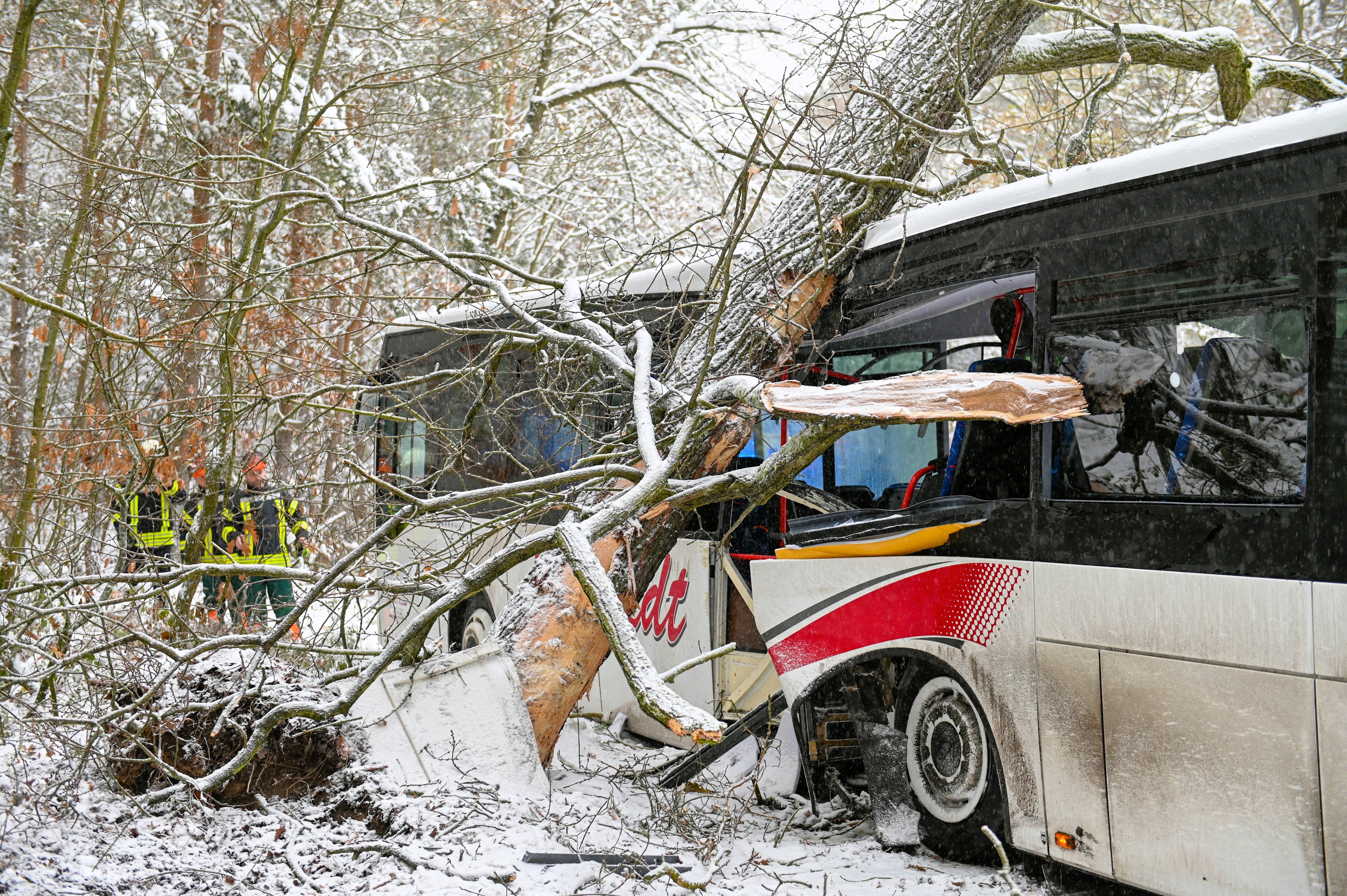 1 Schulkind tot! Glatteis-Unfall, Schulbus rammt Räumfahrzeug und rast dann in Baum!