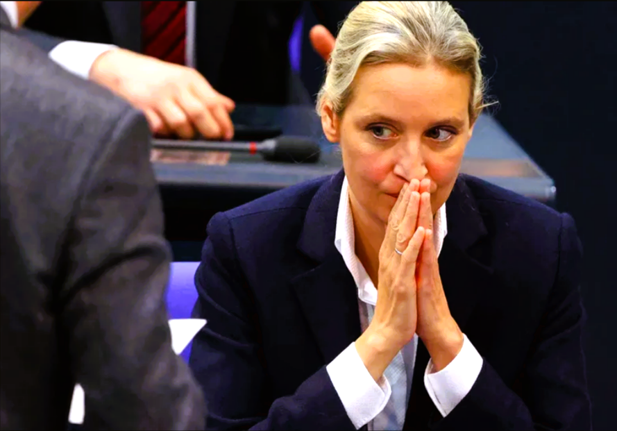 AfD im Sturzflug! Immer schlechtere Umfragewerte - Auch die Werte der Ampelregierung sind miserabel