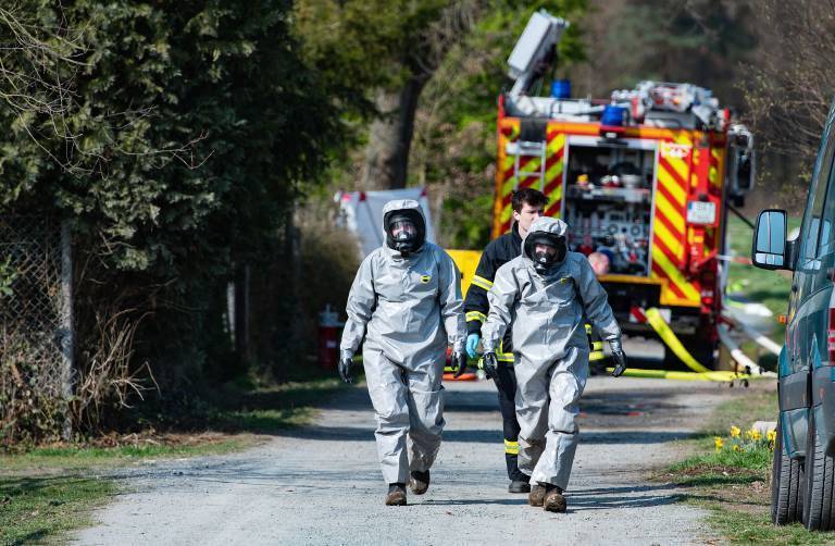 Polizei entdeckt Leiche in Wald - Ehemann des Opfers festgenommen, ist er der Täter?