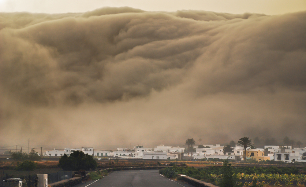 Giant Wave Sweeps Multiple Tourists into the Sea! Spanish Holiday Island Turns into a Nightmare